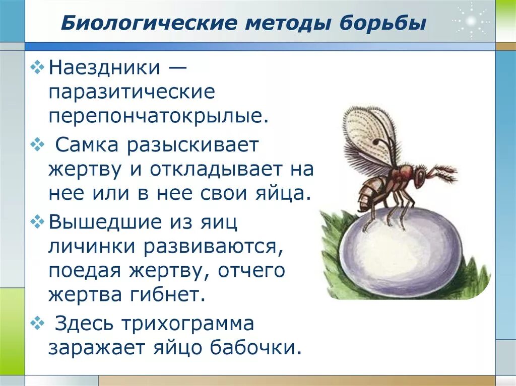 Биологический метод борьбы с вредителями методы борьбы. Биологические способы борьбы с вредителями. Биологический метод борьбы. Биологические методы борьбы с вредителями. Биологический метод защиты растений от вредителей.