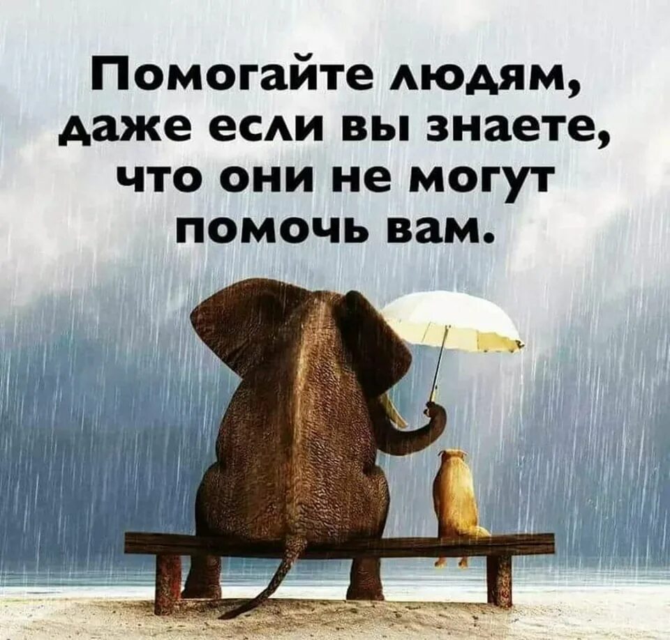 Находясь в пути всегда вспоминается дом исправить. Умные мысли. Мудрые мысли. Мудрые позитивные высказывания. Высказывания в картинках.