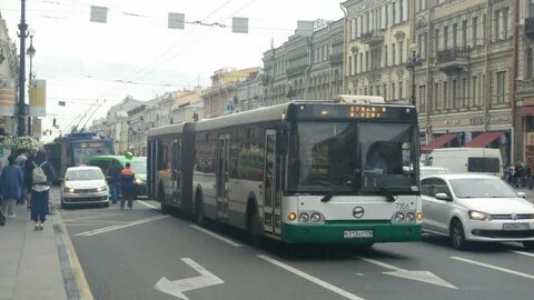 77 автобус спб