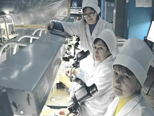 «болховский завод полупроводниковых приборов» продукция. Бзпп болхов. Мфц болхов. Болховский завод полупроводниковых. Болховский завод полупроводниковых приборов.