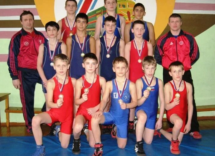 Спортивная школа по греко римской борьбе. Греко Римская борьба Саратов. Тренера СДЮШОР греко Римская борьба. Спортшкола Нерчинск. Вольная борьба в Ярославле секции для детей.