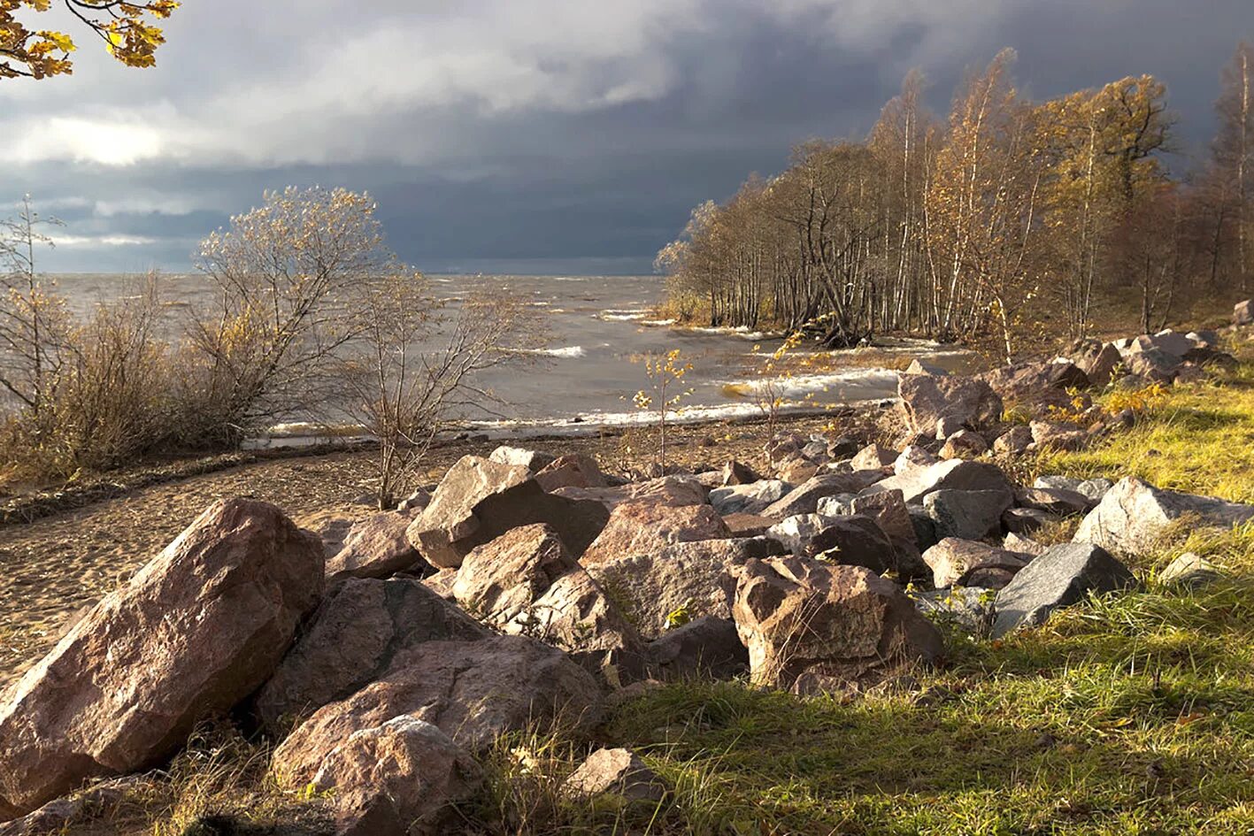 Сестрорецк куда сходить. Дубки сестрорецк. парк дубкисестрорецка. парк дубковский сестрорецк. сестрорецкий парк дубки.