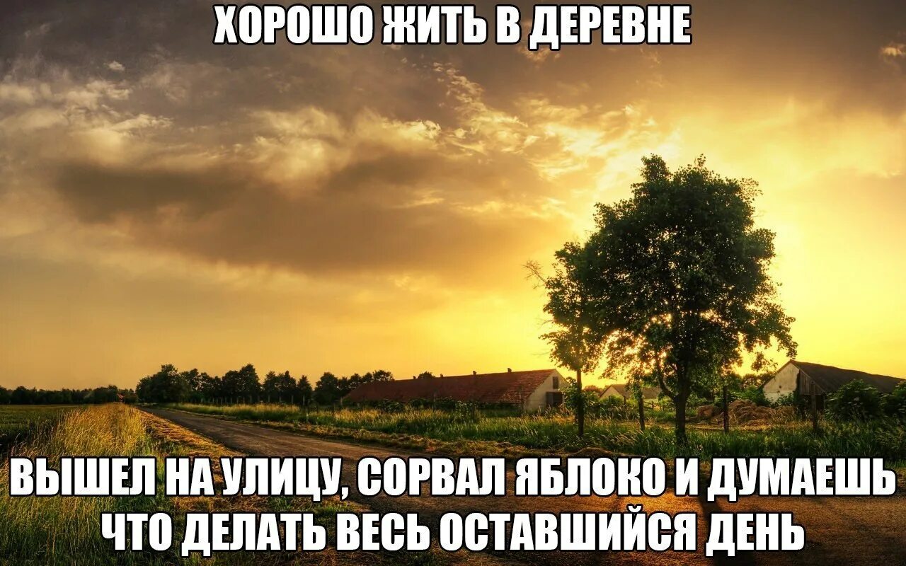 Муж уехал в деревню. Хорошо в деревне летом цитаты. Афоризмы про деревню. Цитаты про деревню смешные. Фразы про деревню летом.