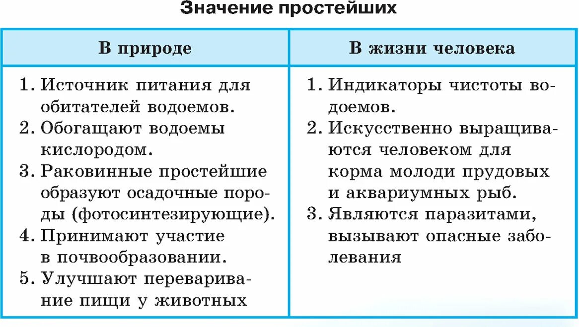 Значение групп простейших. Значение простейших в природе. Значение простейших в природе и жизни человека. Значение простейших в природе и жизни человека 7 класс таблица. Значение простейших в природе 7 класс биология таблица.