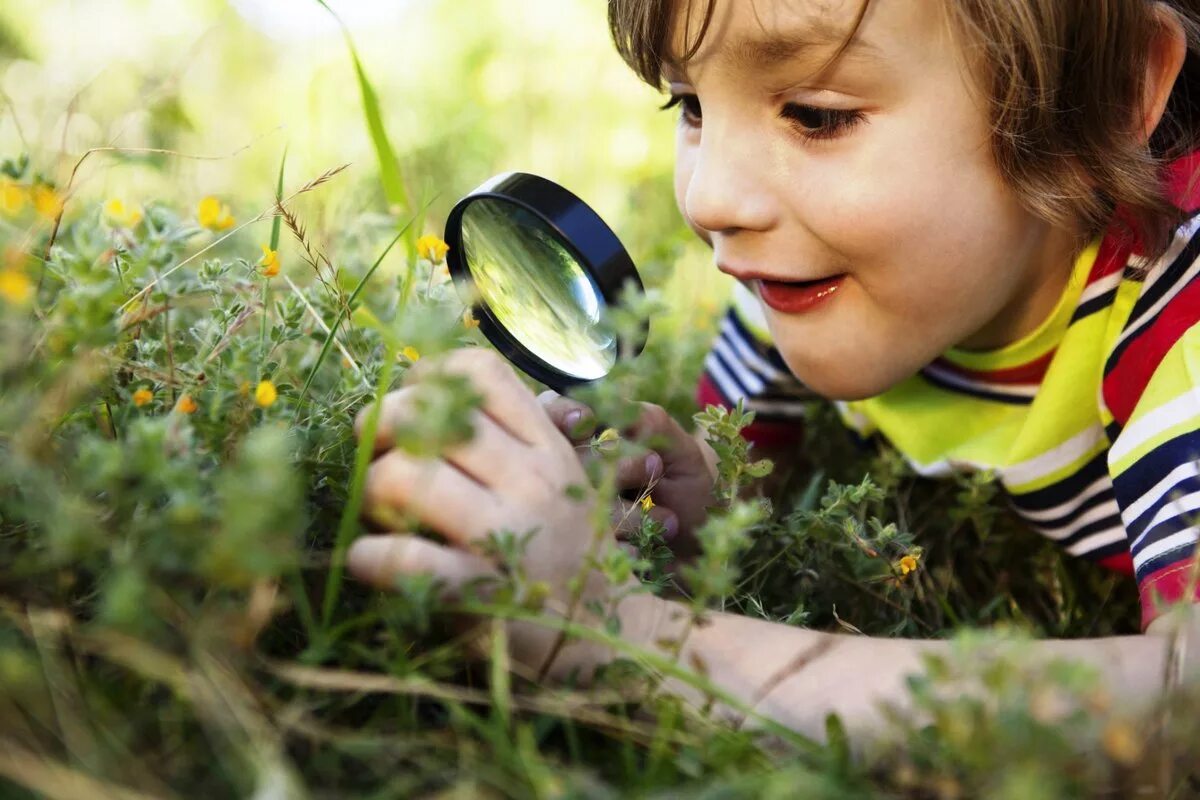 Дети и природа. Изучение природы. Любопытный ребенок. Дети дошкольники на природе.