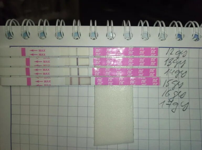 Ранняя овуляция. На 11 день цикла тест на овуляцию показывает две полоски. 10-11 дпо тест на беременность. 11 дпо тест на беременность утро. 11 дпо тест на беременность эвитест.