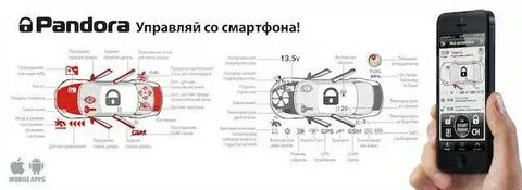 Номер системы пандора