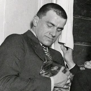 Маяковский собака