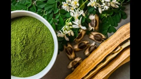 Moringa royal herbs отзывы