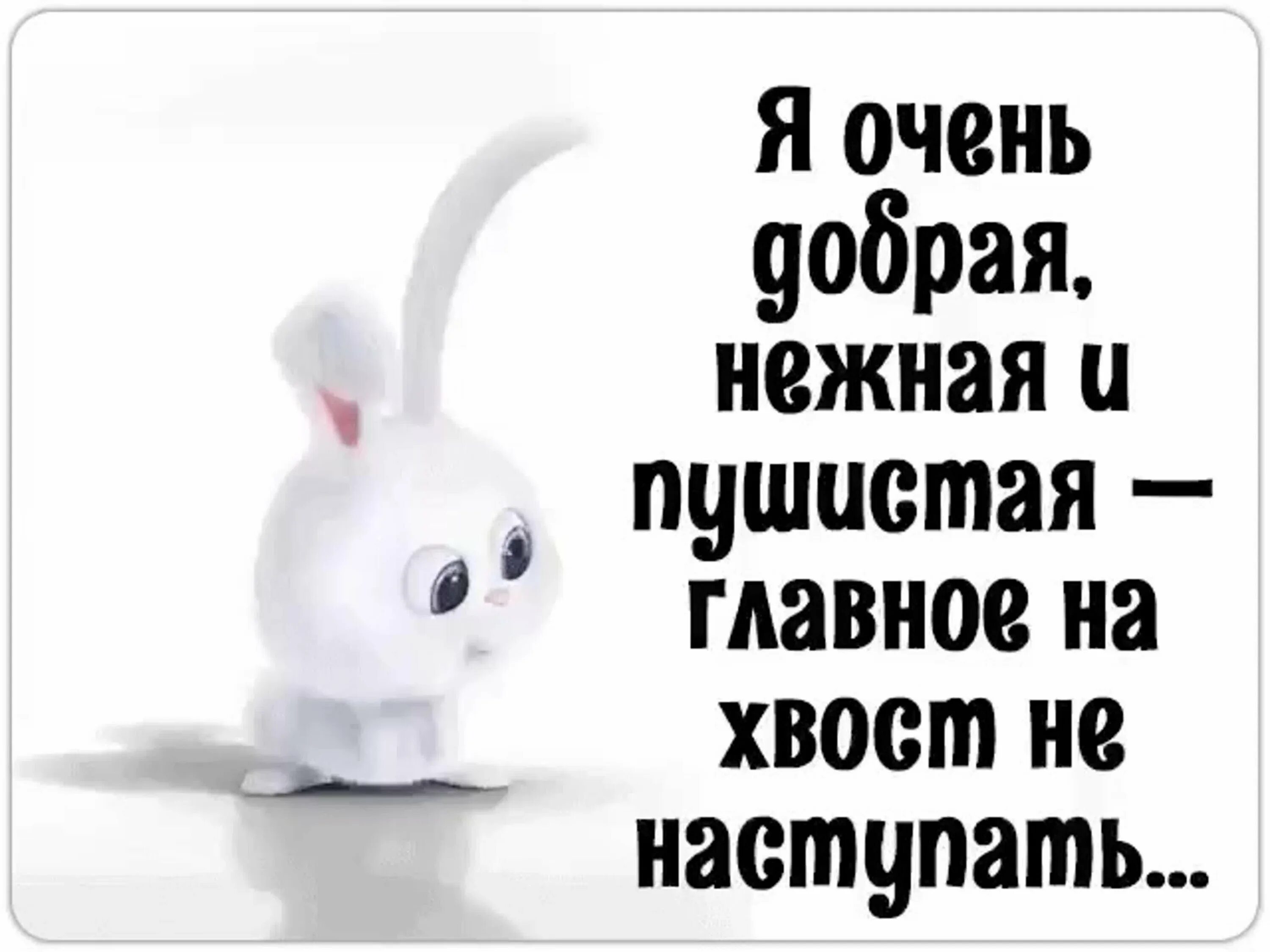 Пушистый два значения. Белый и пушистый. я белый и пушистый. мягкий белый и пушистый. белая и пушистая прикол.