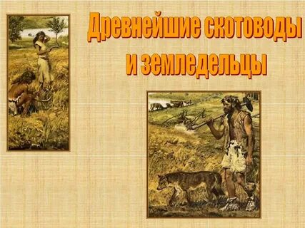 История скотоводства