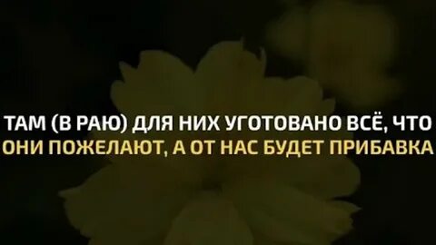Чтение корана телеграмм