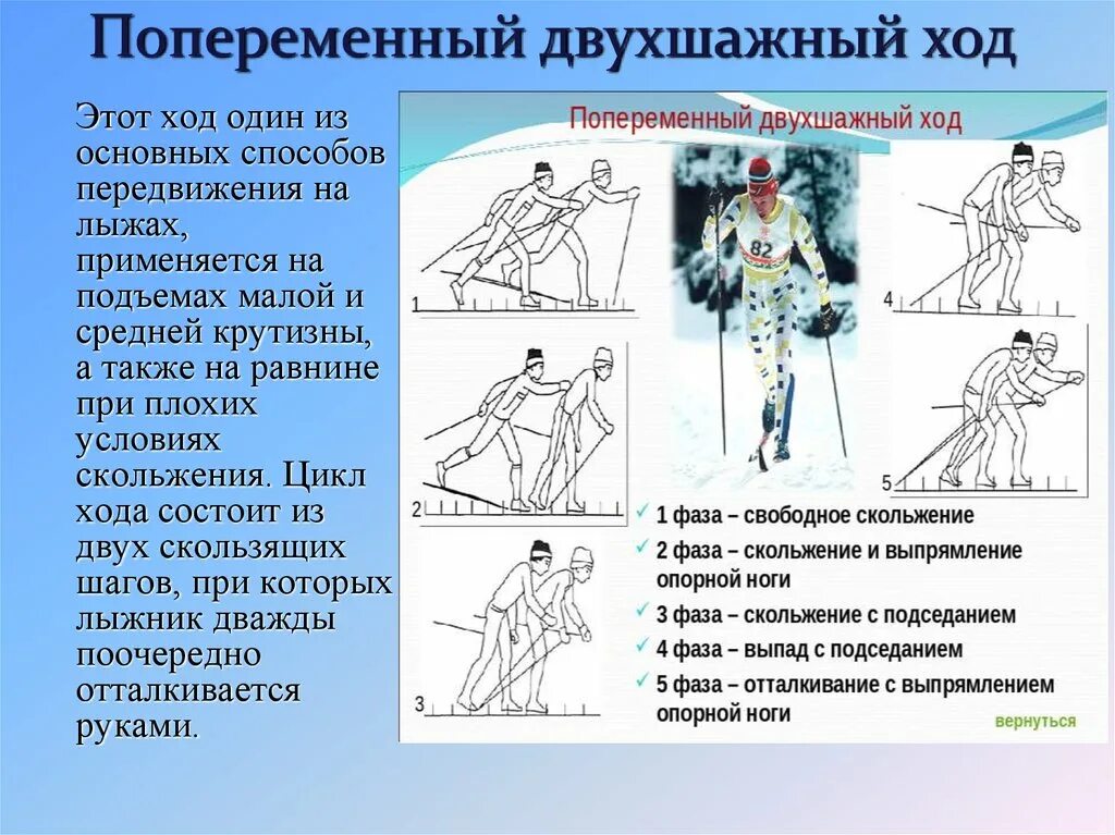 Попеременно двухшажный ход техника. Попеременно двухшажный лыжный ход. Техника попеременного двухшажного хода на лыжах. Способ передвижения на лыжах попеременный двухшажный ход. Элементы передвижения на лыжах