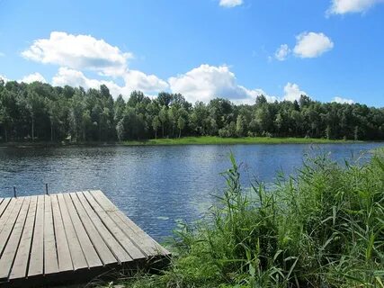 Зелено ленинградская область