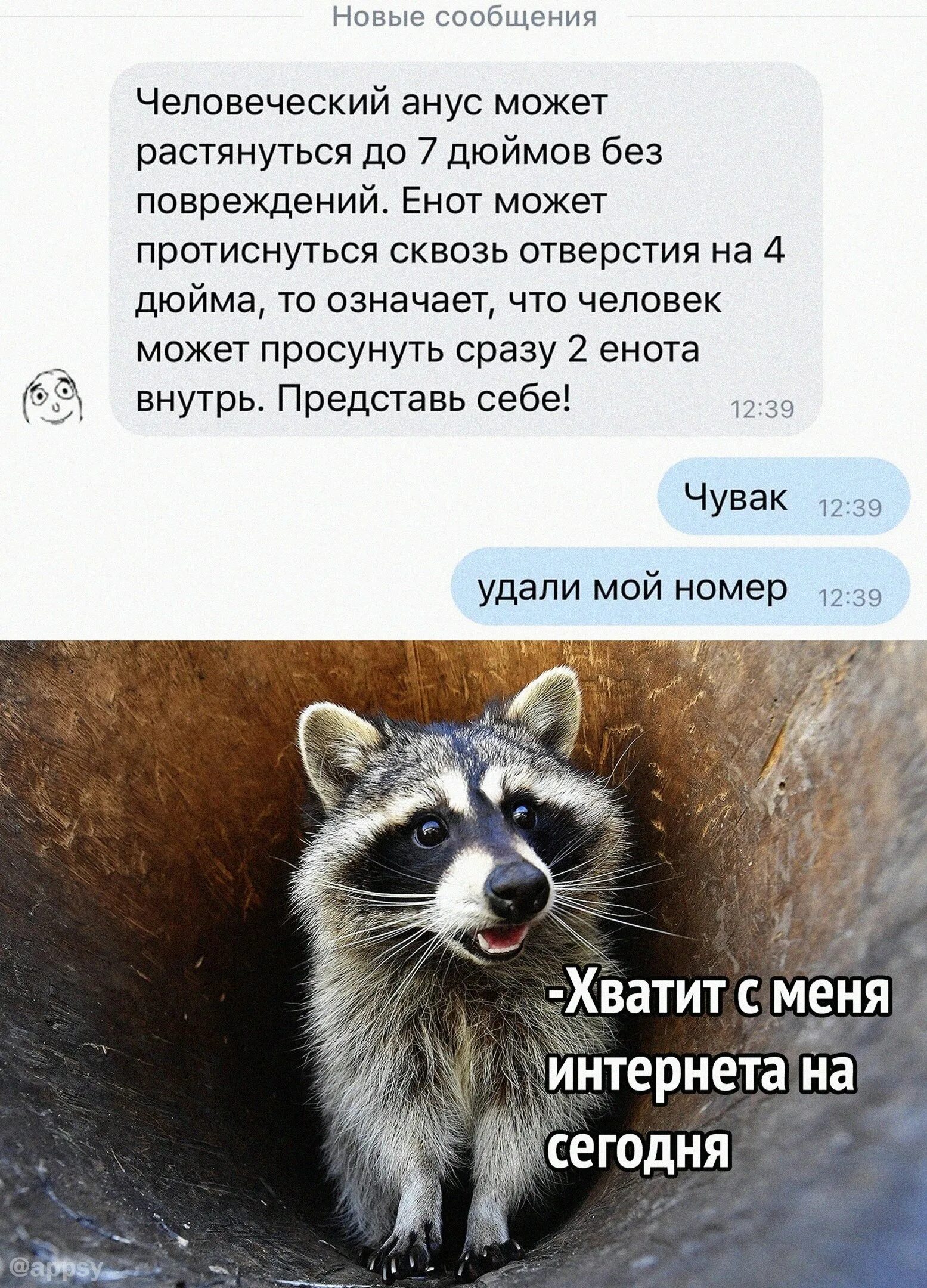 Песня можно еноту в голове сделать дыру. Песня можно еноту в голове сделать дыру. Песня можно еноту в голове сделать дыру. Песня можно еноту в голове сделать дыру. Песня можно еноту в голове сделать дыру.