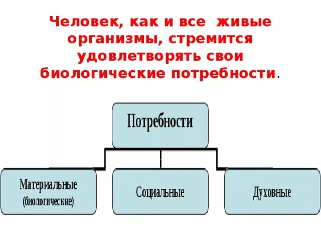 Какие формы поведения можно отнести к приобретенным