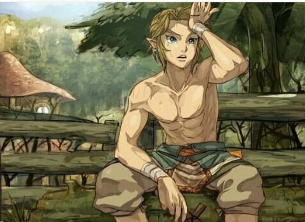Линк профиля. Link twilight princess. голый линк. линк в трусах. линк в бою.