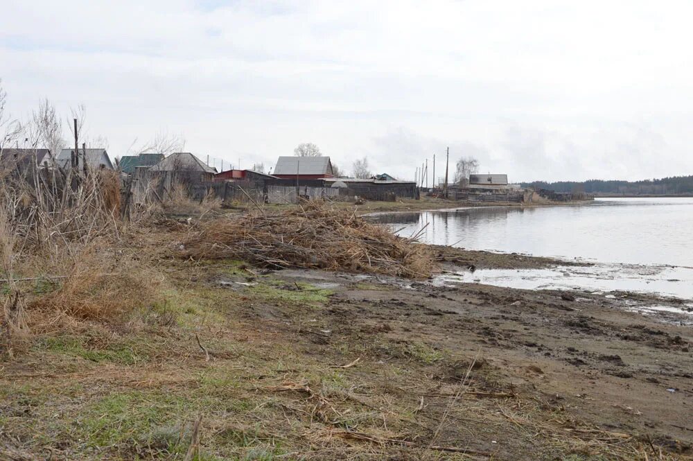 Село ракиты михайловский район. Алтайский край Михайловский район село Ракиты. Село Ракиты Михайловского района. Село Михайловское Алтайский край. Оз.Михайловское (Михайловский район).