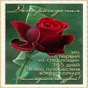 День рождения 365