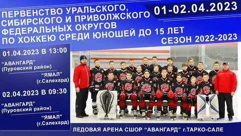 Первенство федеральных округов по хоккею 2008