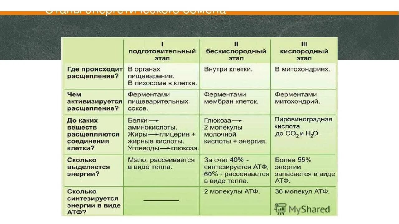 Энергетический обмен клетки тест. Где происходит 2 этап энергетического обмена. Стадии энергетического обмена таблица. Бескислородный и кислородный этапы энергетического обмена.