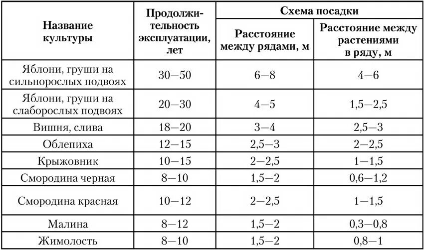 Сколько от забора садить деревья. Расстояние между деревьями при посадке плодовых деревьев на участке. расстояние между плодовыми деревьями при посадке. на какое расстояние сажать яблони друг от друга. какое расстояние должно быть между плодовыми деревьями.