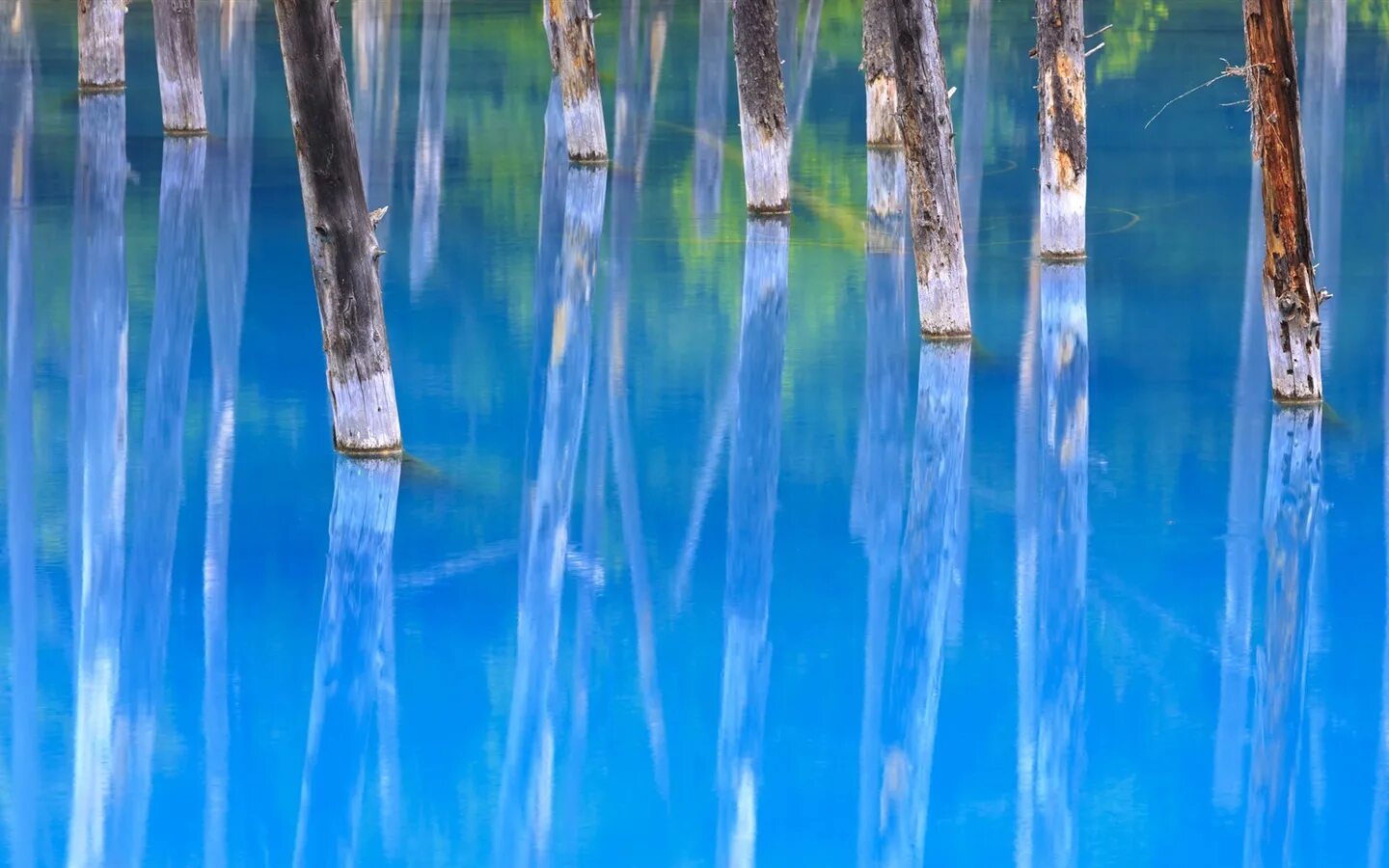 Ветер текущая вода. Голубой пруд, Хоккайдо, Япония. Голубой пруд Биэй. Голубой пруд Хоккайдо 2016. Голубой пруд Биэй на острове Хоккайдо.