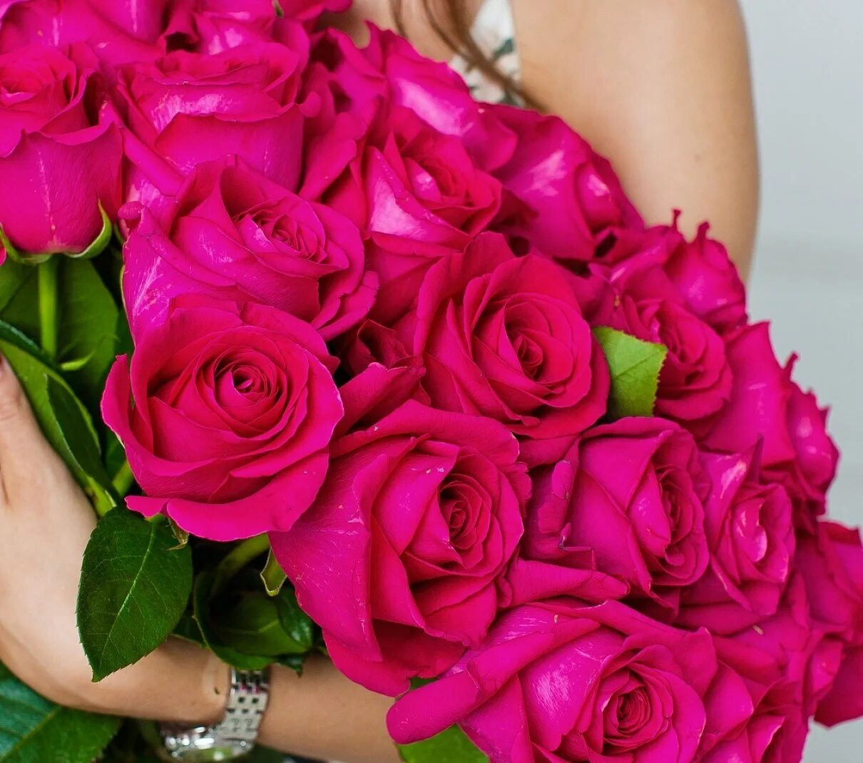 ярко розовые розы. розовые розы. роза пинк файер. пинк флойд pink floyd роза. шикарные цветы.