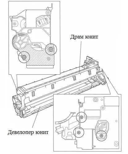 Bizhub 165 девелопер. Замена девелопера. Блок девелопера черный Konica Minolta bizhub. Konica bizhub 225 сломалась шестерня лотка. Bizhub девелопер