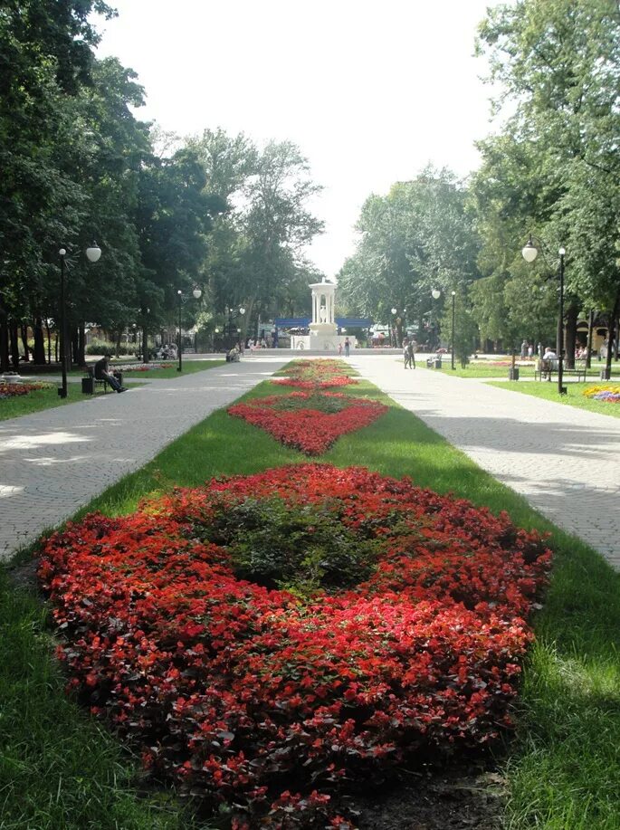 Воронеж парк. Воронежские парки. Городские парки Воронежа. Красивый парк в Воронеже.