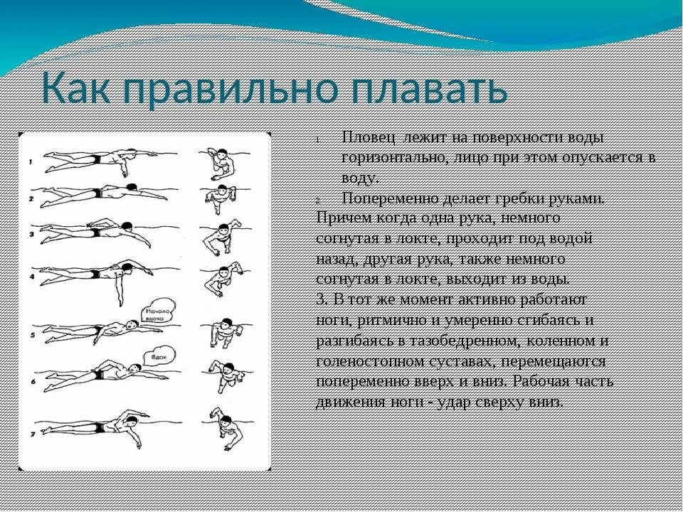 Кроль плавание техника для начинающих