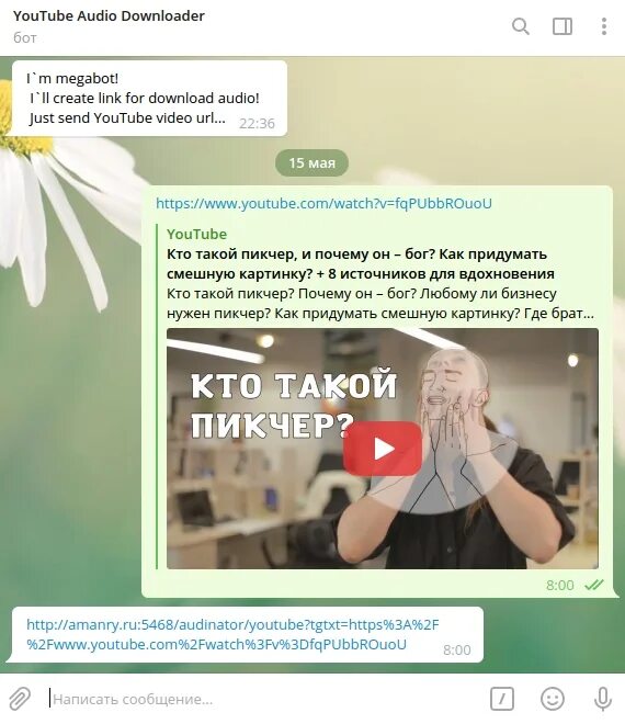 Телеграм видео. Телеграмм пиар. Ютуб телеграм новости. Telegram bot youtube download. Ютуб телеграм новости.