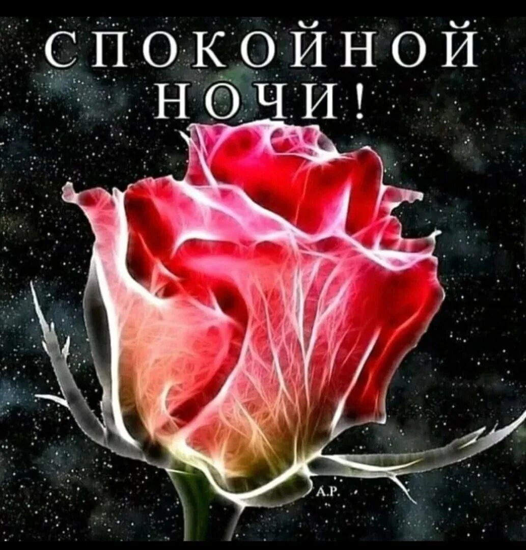 Спокойной ночи. Открытки с пожеланием спокойной ночи. Спокойной нос. Спокойной ночи сладких снов. Цветы с пожеланием спокойной ночи.