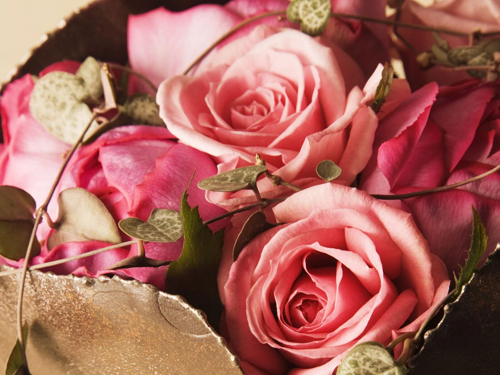 Цветочки розы. Розы в сердце. The best roses. Гулар маликаси. The best roses.