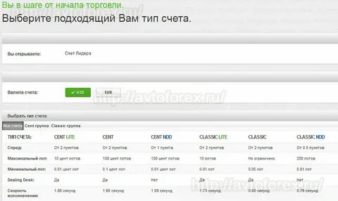 Лидер счет