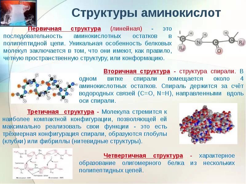 Первичная структура белка аминокислоты. Структурное строение аминокислот. Химическое строение аминокислот. Белки и аминокислоты структура и функции.