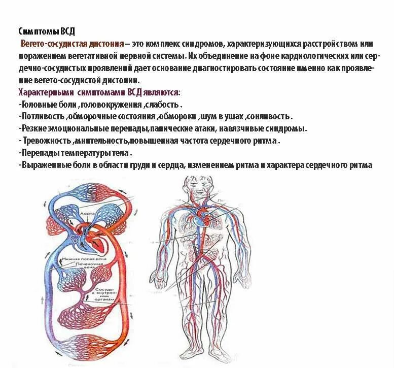 Вегетативная недостаточность. Вегетососудистая дистония симптомы. Вегетативно сосудистая дистония симптомы. Характерный признак вегетативной дистонии. Вегетососудистая дистония клиника симптомы.