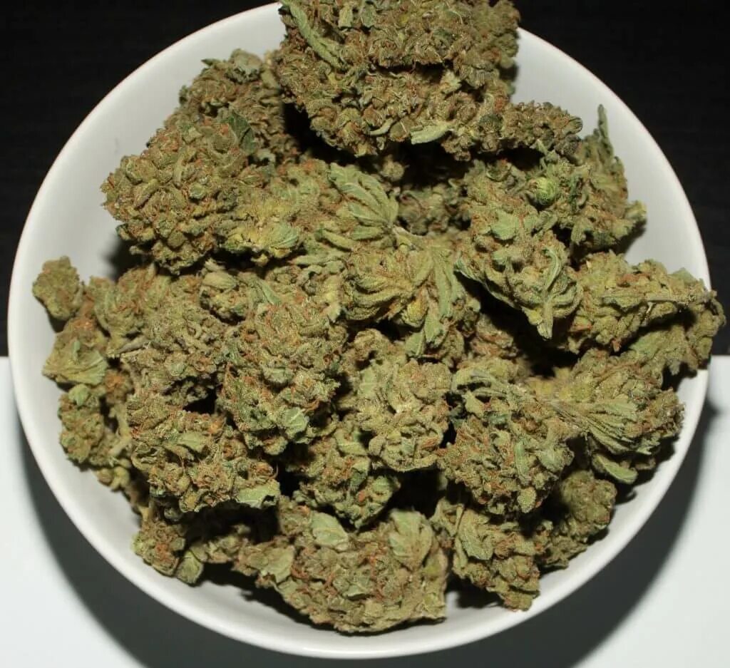 Зип сканка. Skunk 1. шишки сканк. сканка. skunk курительная смесь.