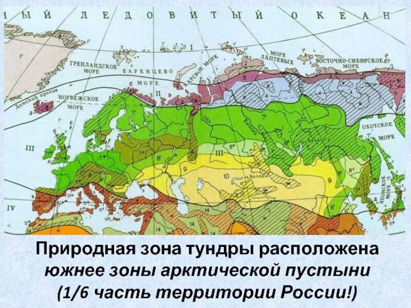 Зона природных зон России. Природная зона тундра в Евразии. Карта природных зон России арктические пустыни. Арктическая пустыня на карте природных зон России. В каких природных зонах расположена евразия