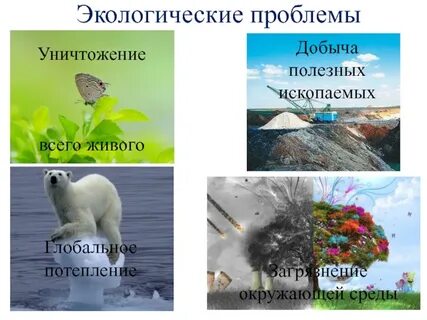 Сформулируйте экологический