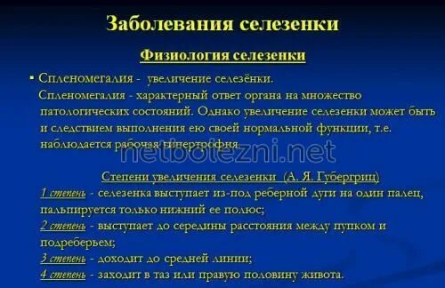 Увеличена селезенка форум. Заболевания селезенки. Спленомегалия заболевания. Физиология селезенки. Заболевания селезенки классификация.