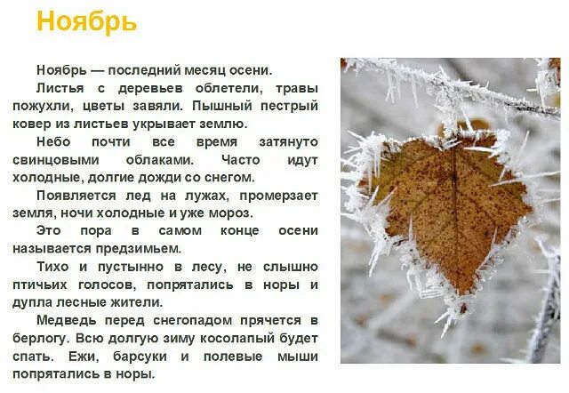Конце месяца последний день. Рассказ про ноябрь. рассказ про месяц ноябрь. ноябрь последний месяц осени. с последним осенним месяцем ноябрем.