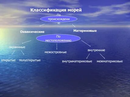 Виды морей география