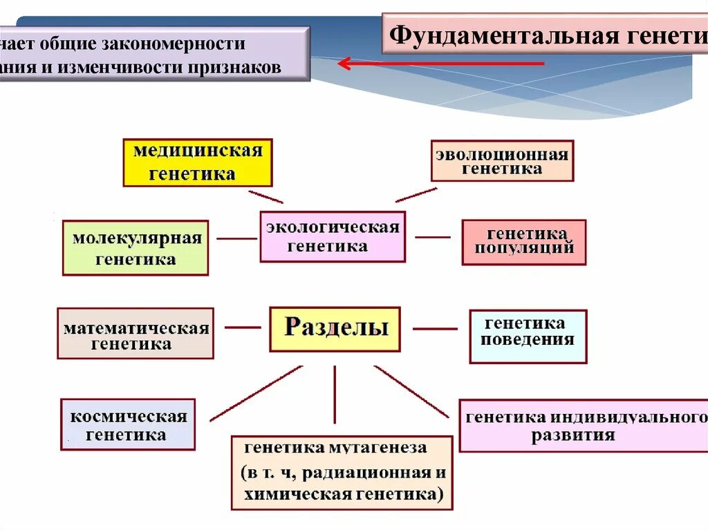 Что является изучением генетики. Основные разделы генетики. Разделы медицинской генетики. Разделы генетики человека. Разделы генетики поведения.