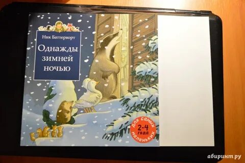 Однажды зимней ночью