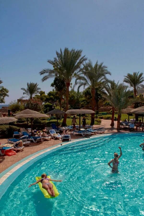 Египет альбатрос гранд шарм. Pickalbatros royal grand resort 5 египет. Альбатрос роял гранд шарм 5 шарм-эль-шейх. Albatros royal grand sharm шарм-эль-шейх. Royal grand sharm 5 египет.