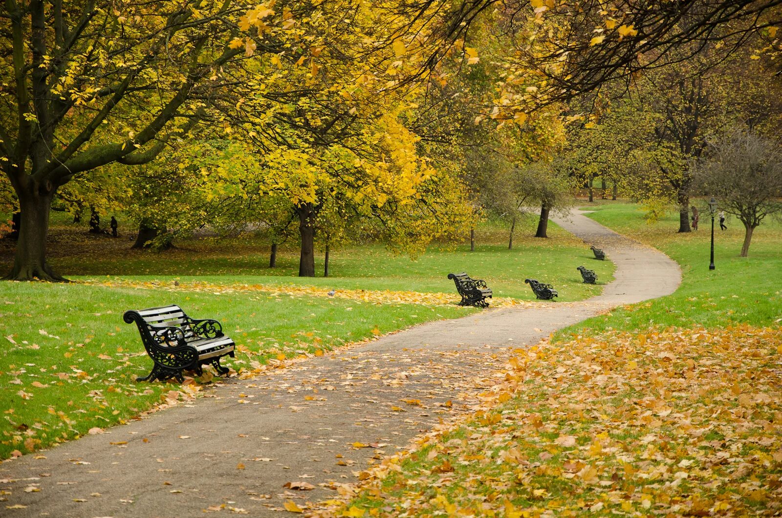 Грин парк Англия. Ричмонд парк осень в Лондоне. Парк в Лондоне Грин парк. Грин парк Лондон autumn.