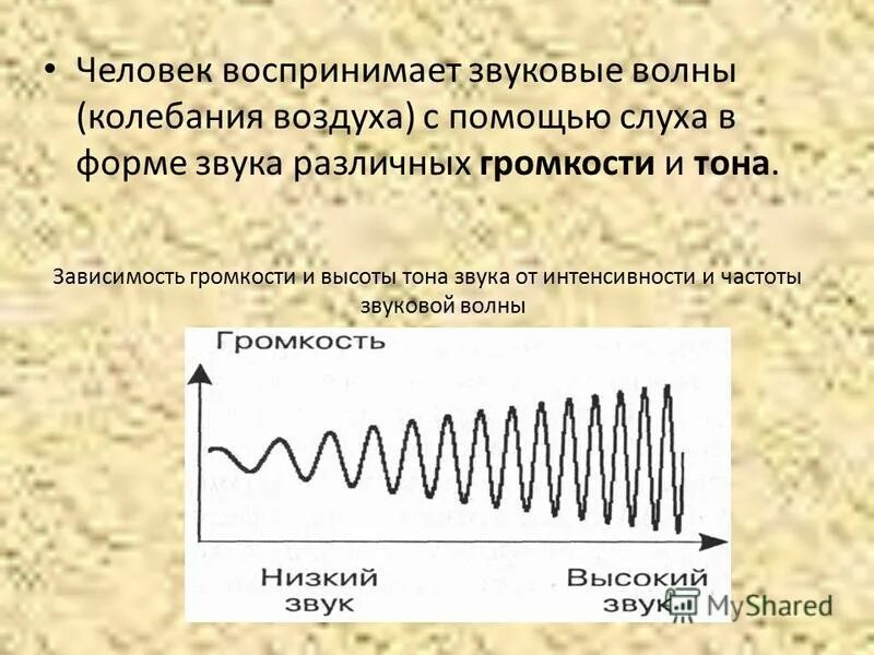 Звук представления человека