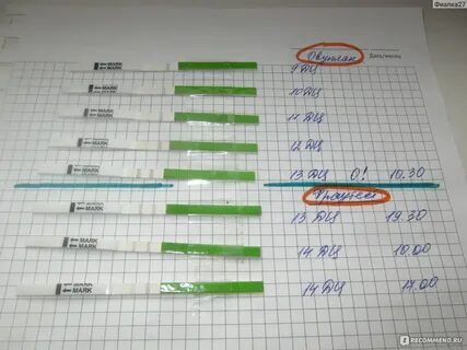 Тест на овуляцию как пользоваться