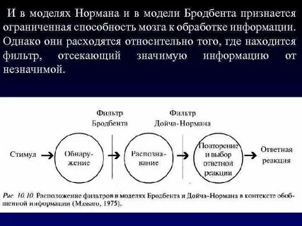 Модель внимания бродбента